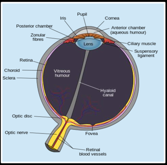 eye-diagram